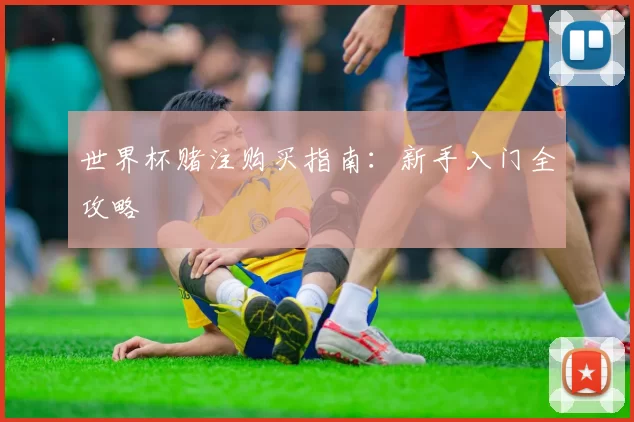 世界杯赌注购买指南:新手入门全攻略