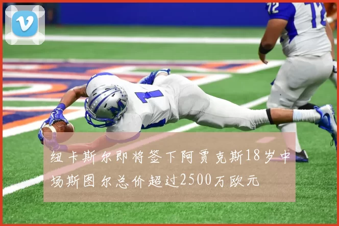 纽卡斯尔即将签下阿贾克斯18岁中场斯图尔总价超过2500万欧元