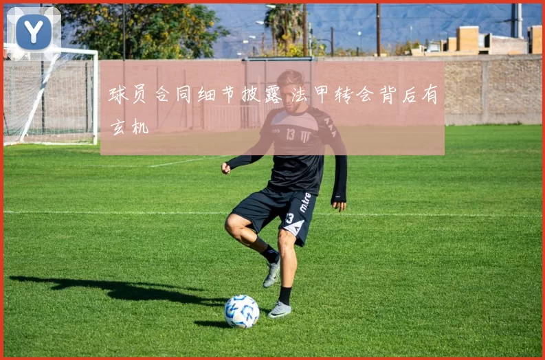 球员合同细节披露 法甲转会背后有玄机
