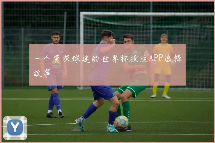 一个资深球迷的世界杯投注APP选择故事