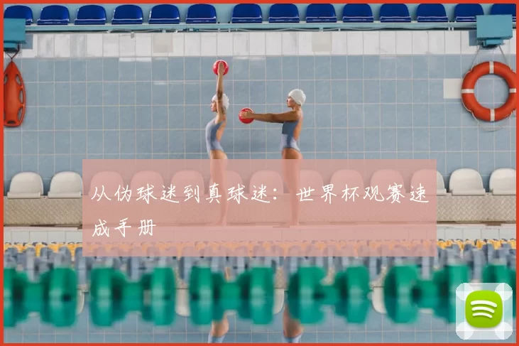 从伪球迷到真球迷:世界杯观赛速成手册