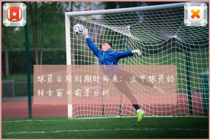 球员合同到期时间表:法甲球员的转会窗口前景分析