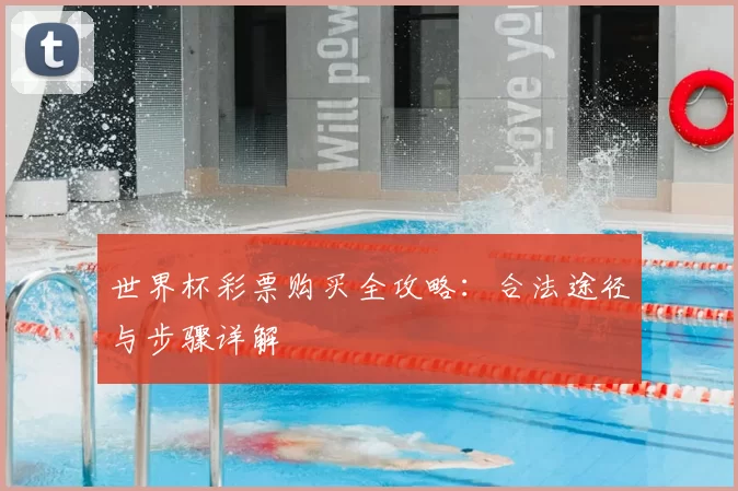 世界杯彩票购买全攻略:合法途径与步骤详解
