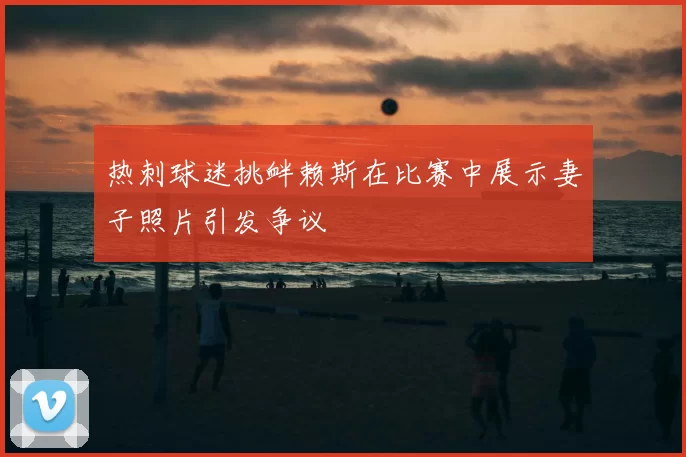 热刺球迷挑衅赖斯在比赛中展示妻子照片引发争议