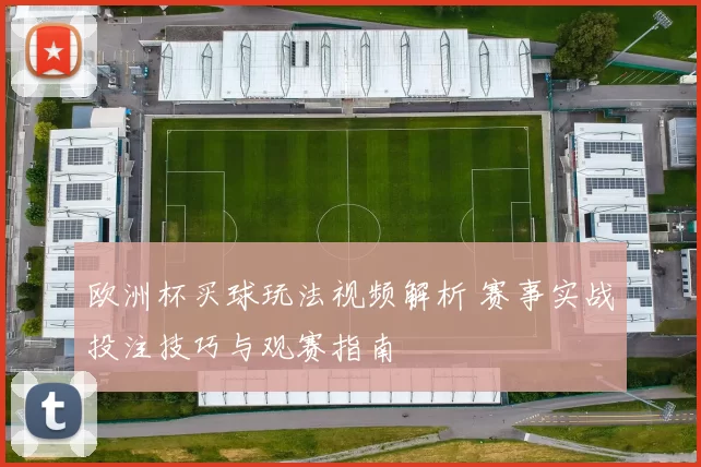 欧洲杯买球玩法视频解析 赛事实战投注技巧与观赛指南