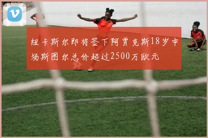 纽卡斯尔即将签下阿贾克斯18岁中场斯图尔总价超过2500万欧元