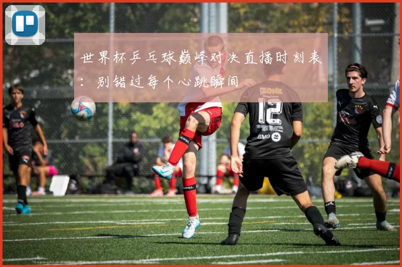 世界杯乒乓球巅峰对决直播时刻表：别错过每个心跳瞬间