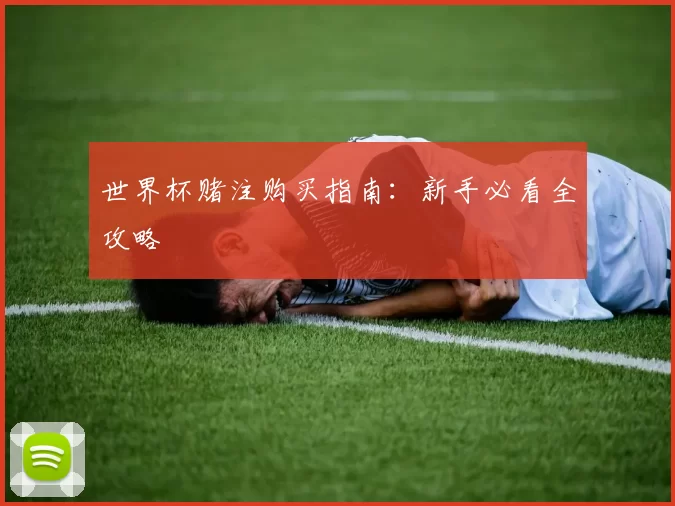 世界杯赌注购买指南：新手必看全攻略