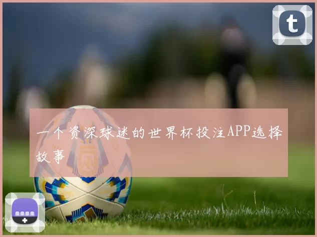 一个资深球迷的世界杯投注APP选择故事