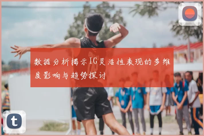 数据分析揭示IG灵活性表现的多维度影响与趋势探讨