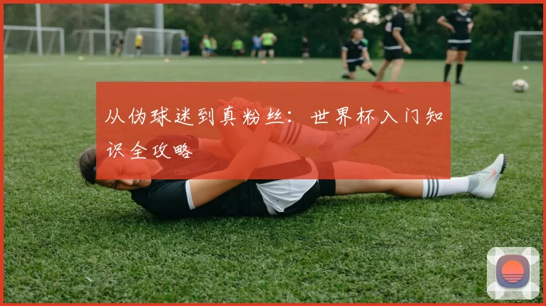 从伪球迷到真粉丝：世界杯入门知识全攻略