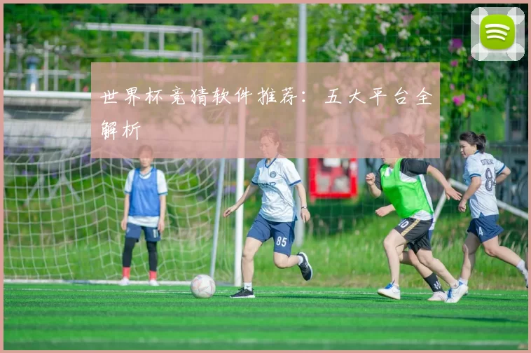 世界杯竞猜软件推荐:五大平台全解析