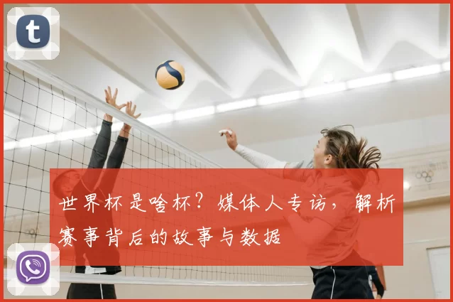 世界杯是啥杯?媒体人专访,解析赛事背后的故事与数据